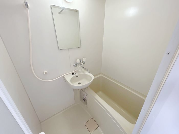 ビオラセア その他4