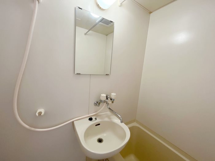 ビオラセア その他6