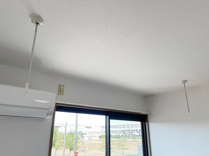 ビオラセア その他9