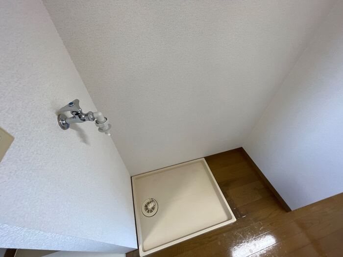 ビオラセア その他10