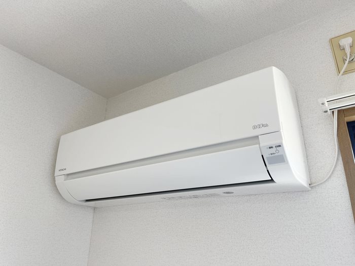 ビオラセア その他14