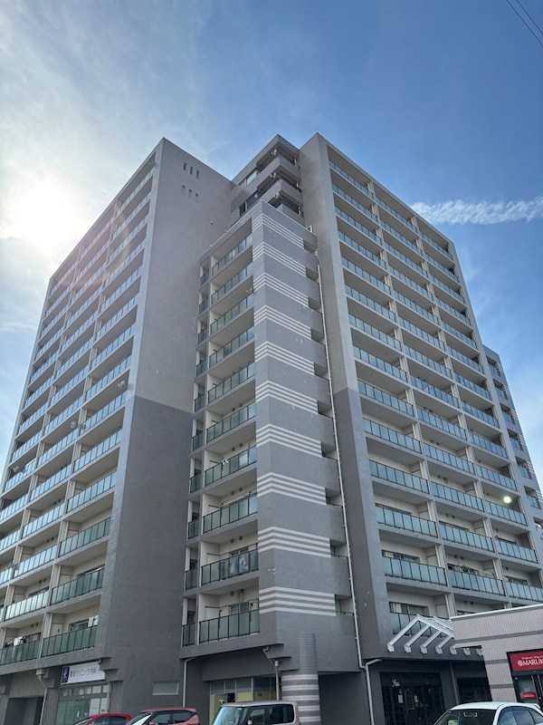 ダイアパレスロイヤルシティ東幸町　東棟 1011号室 外観