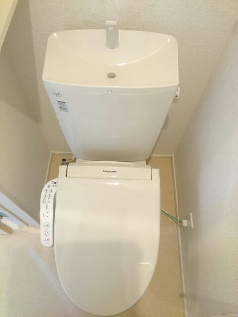 ラフェリア その他4