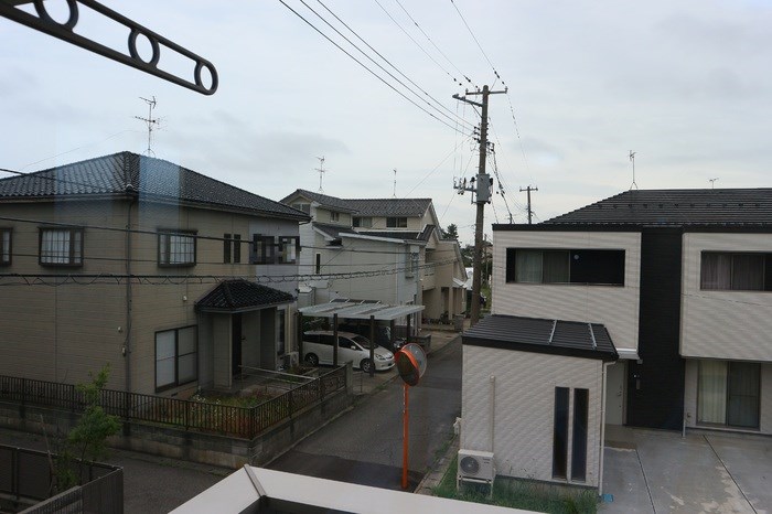パインコーン その他14