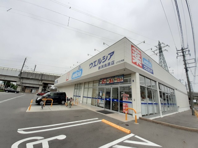 シルエリータⅠ その他外観5