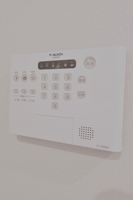 ピターニュ　A その他8