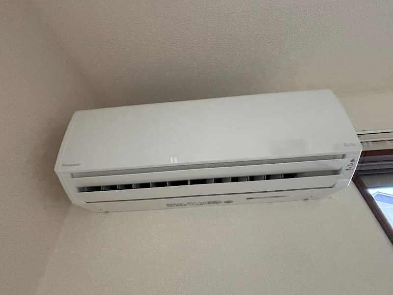 エトピリカ その他10