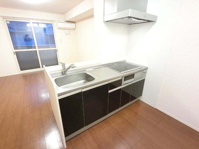 アステールⅡ その他2