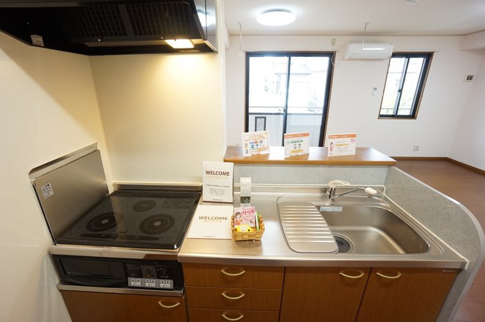 ロイヤルタウン松崎 その他1