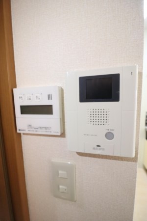 セリージャデトーア その他10