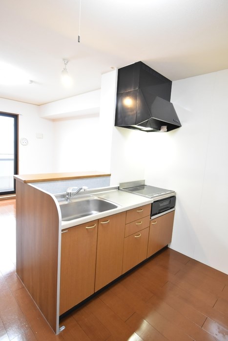 コンフォール・カメリア その他2