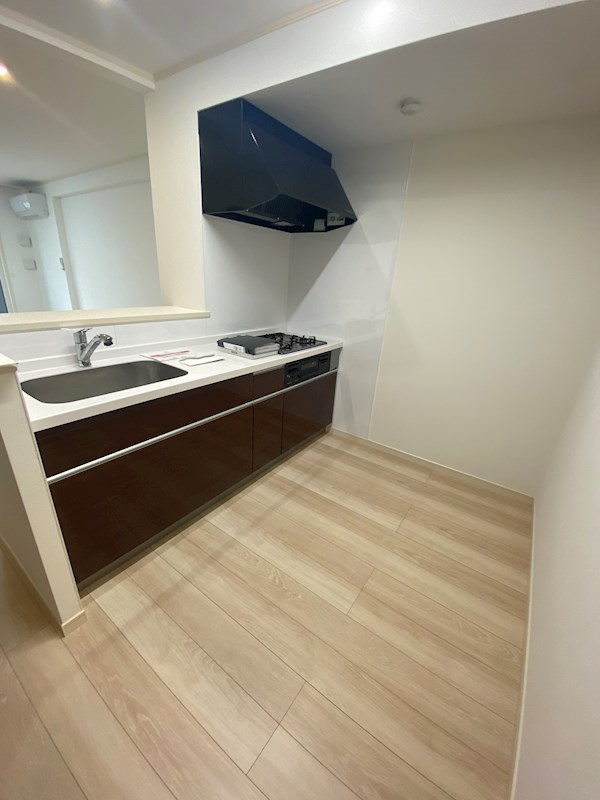 DESIGN　MAISON　N.Sta 3S　A棟 その他4