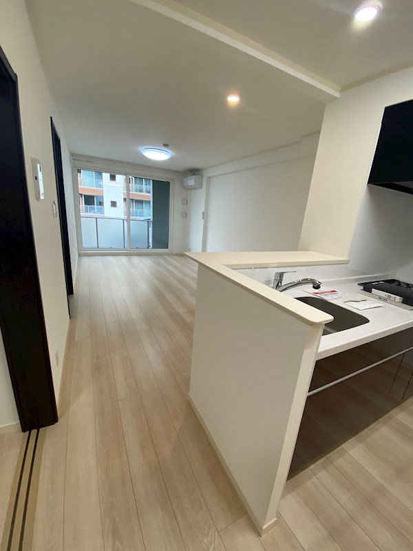 DESIGN　MAISON　N.Sta 3S　A棟 その他25