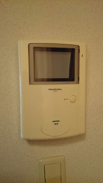 ロベリアⅠ その他6