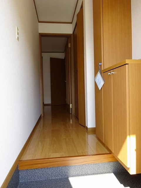 コットンハイツ 玄関
