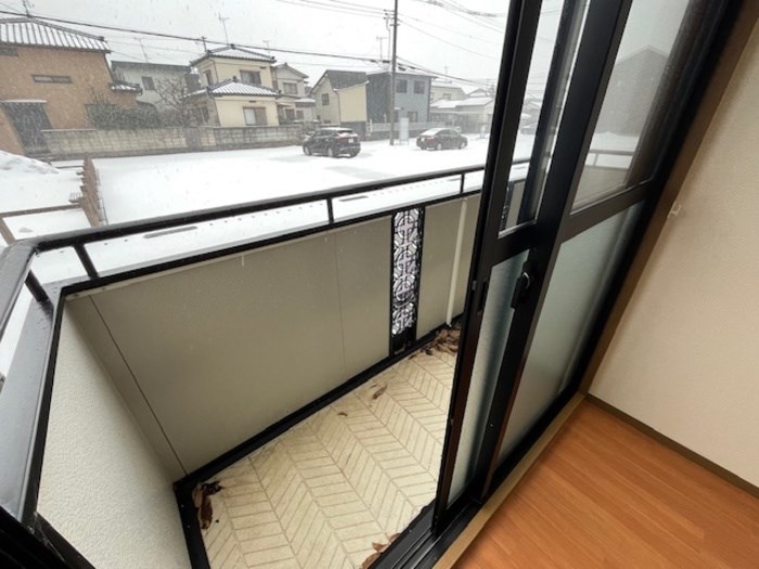 ウォーター・シールド  その他11