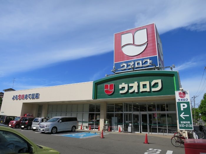 ウォーター・シールド  その他14