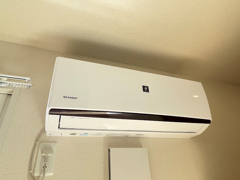 ピターニュ　B その他24