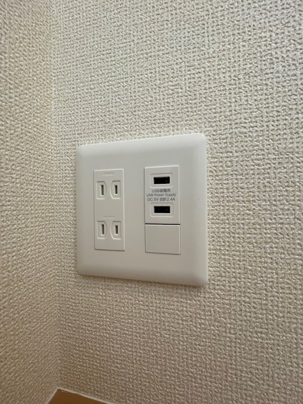 ピターニュ　B その他25