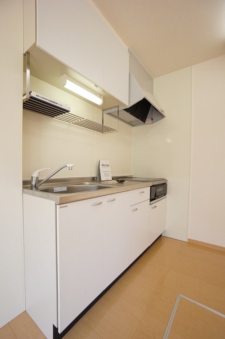 リュージュC その他2