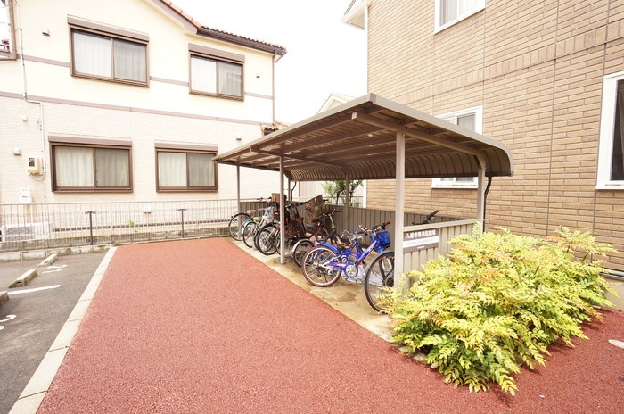 リュージュC その他12