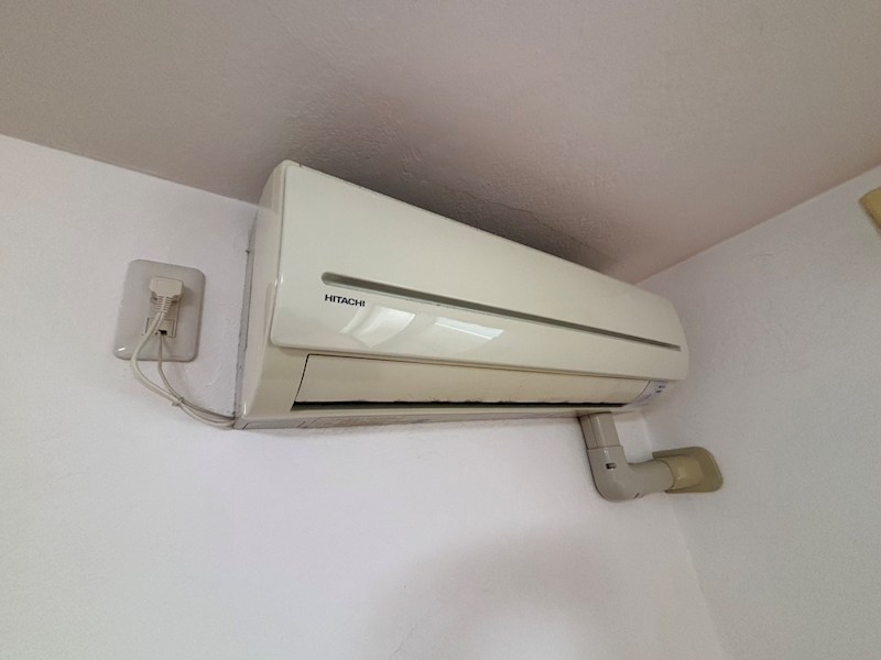 ｉｒｉｅ　ｇａｒｄｅｎ その他10