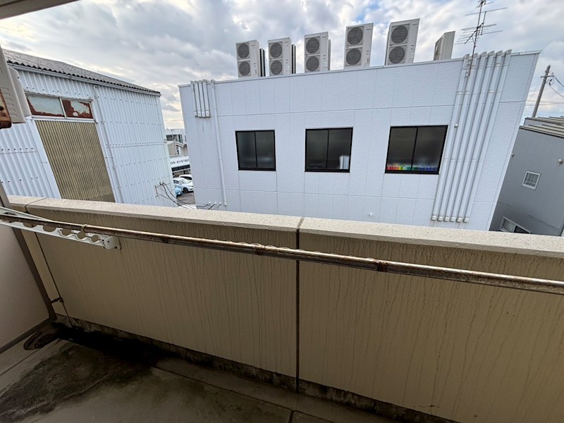 ｉｒｉｅ　ｇａｒｄｅｎ その他11