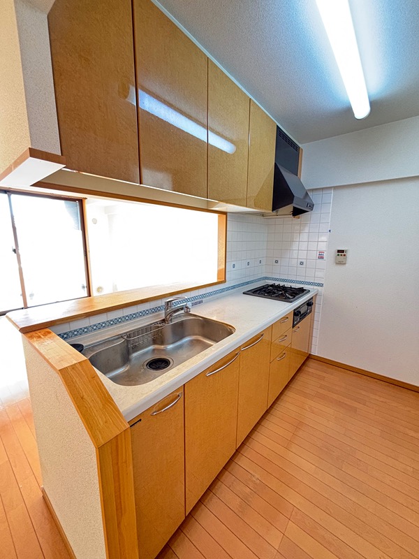 ナポレ南出来島 その他2