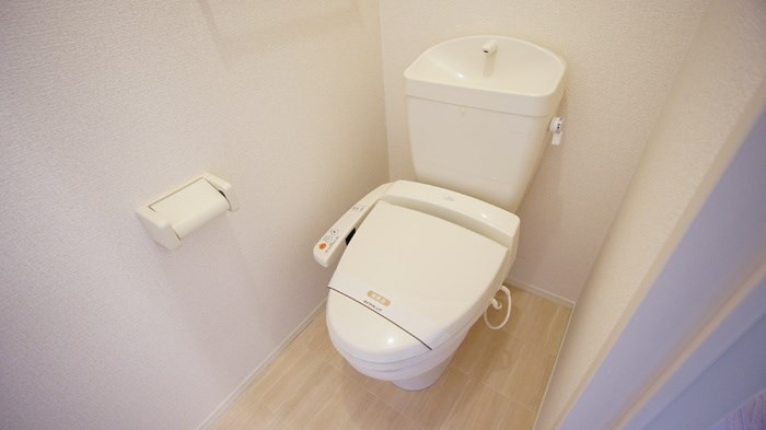 スタリオンB その他7