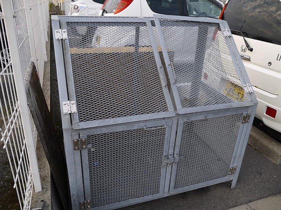 ピオニー その他13