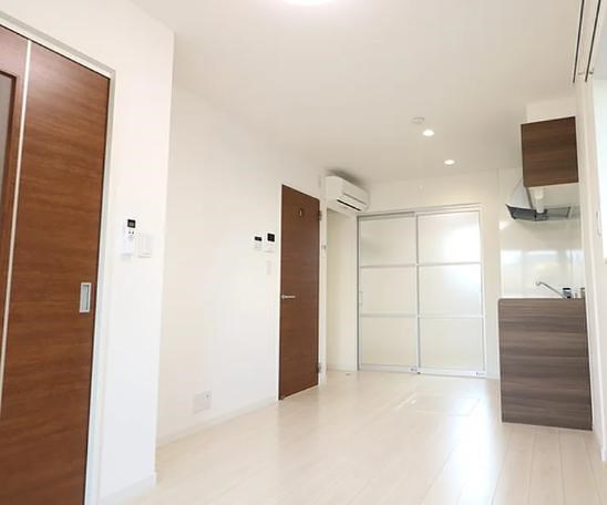 プリマベラ大形 その他1