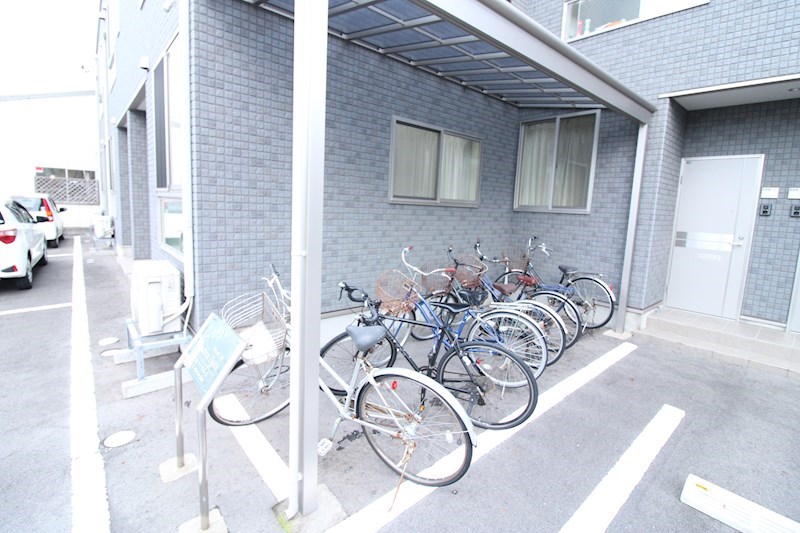 プリマベラ大形 その他11