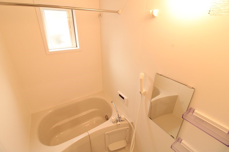 プリマベラ大形 その他3