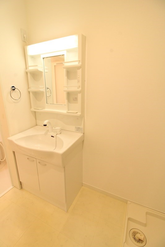 プリマベラ大形 その他4