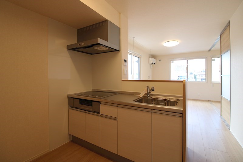 メゾン　ラフィーネⅡ その他2