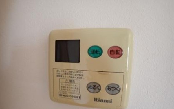 パインテイル　Ⅱ その他9