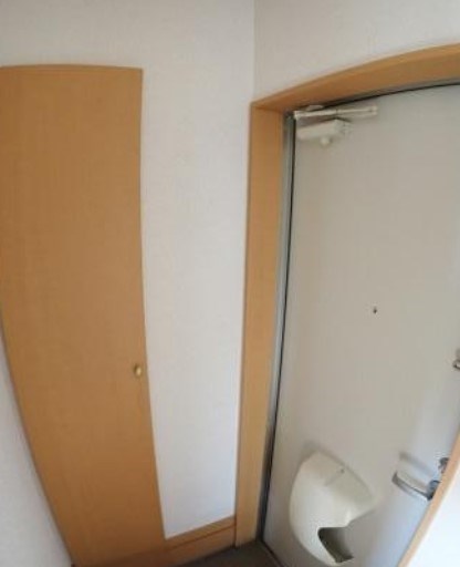 パインテイル　Ⅱ その他10