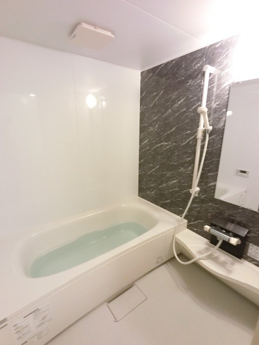 アステールⅡ その他4