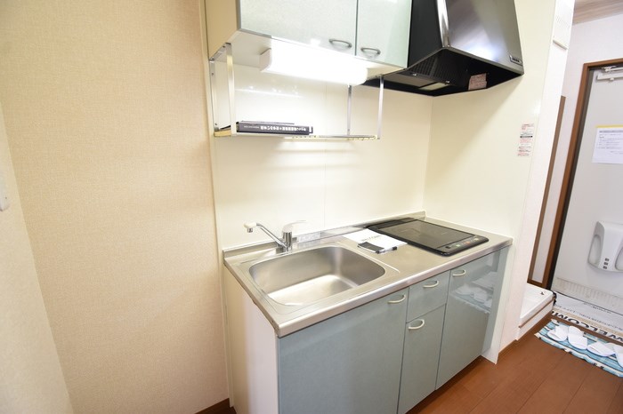 リビングカメリアA その他2