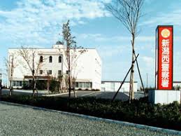 ココモ小新南 周辺画像6