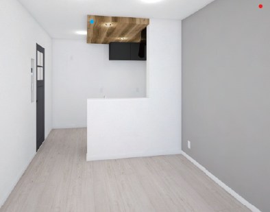 シュアネスⅣ その他1