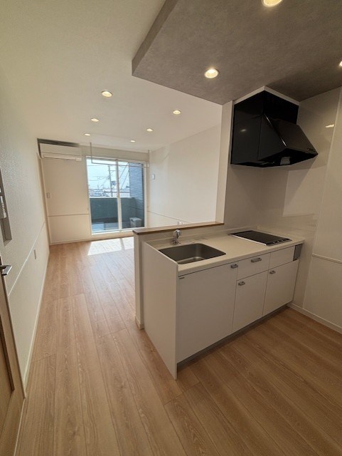 シュアネスⅣ その他2