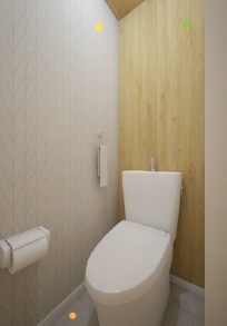 シュアネスⅣ その他5