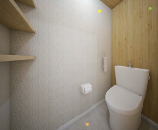 シュアネスⅣ その他6