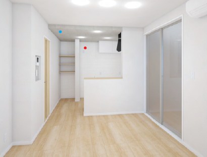 シュアネスⅣ その他1