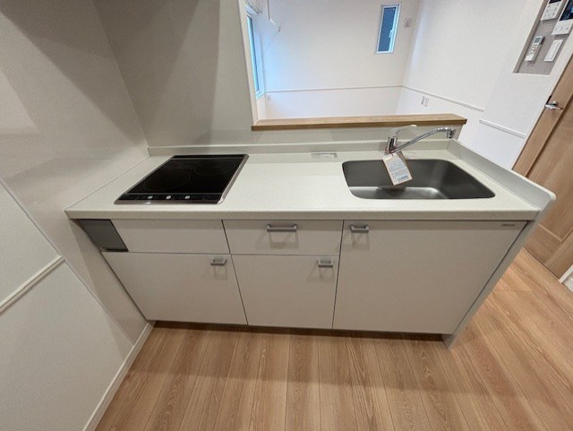 シュアネスⅣ その他2