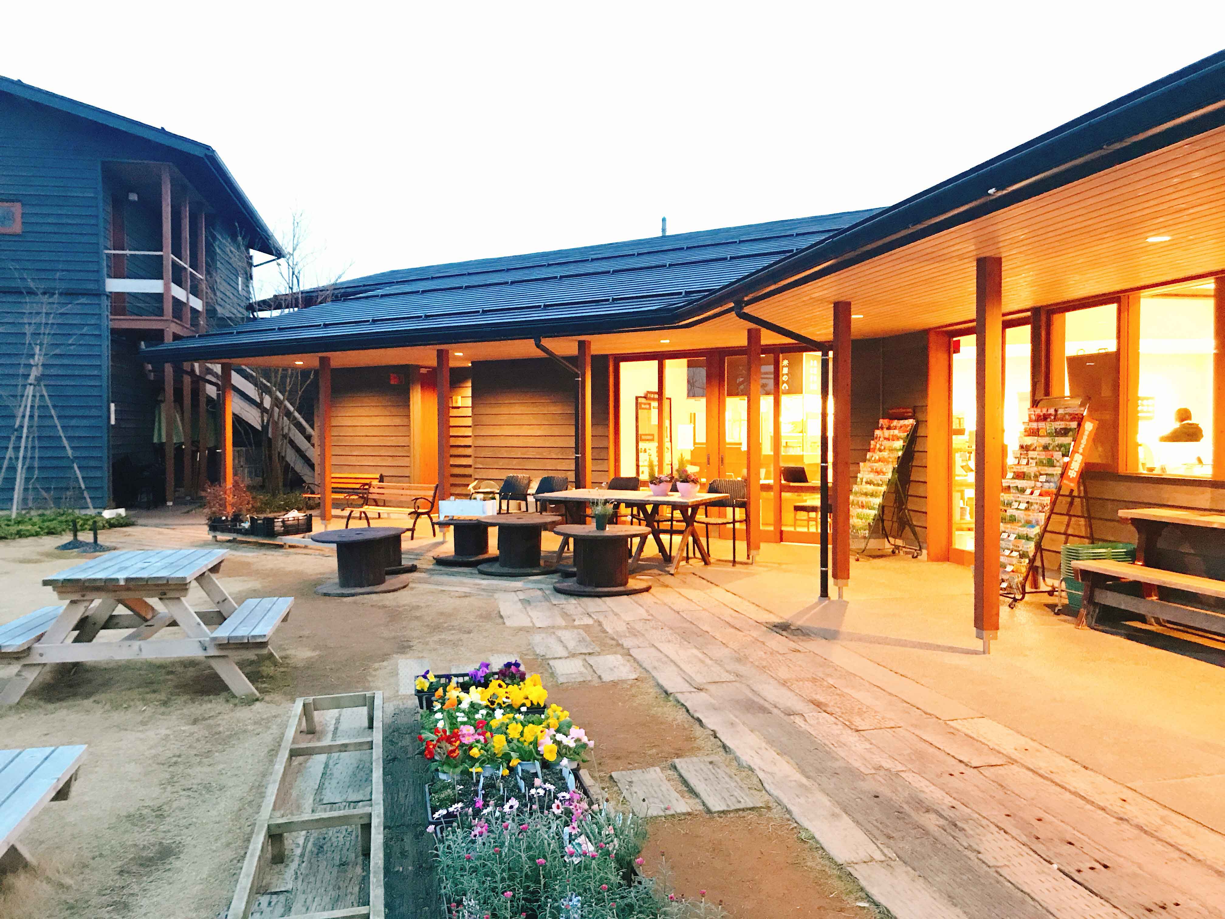 シュアネスⅣ 周辺画像4