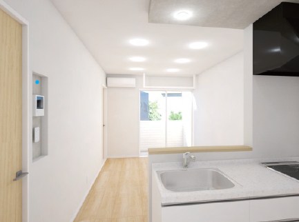 シュアネスⅣ その他1