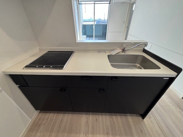 シュアネスⅣ その他2