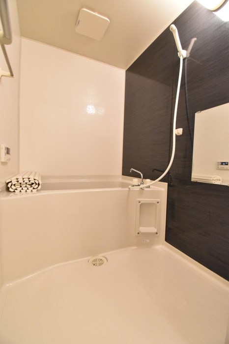 アクシスA その他4